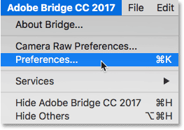 Adobe bridge cs6 update